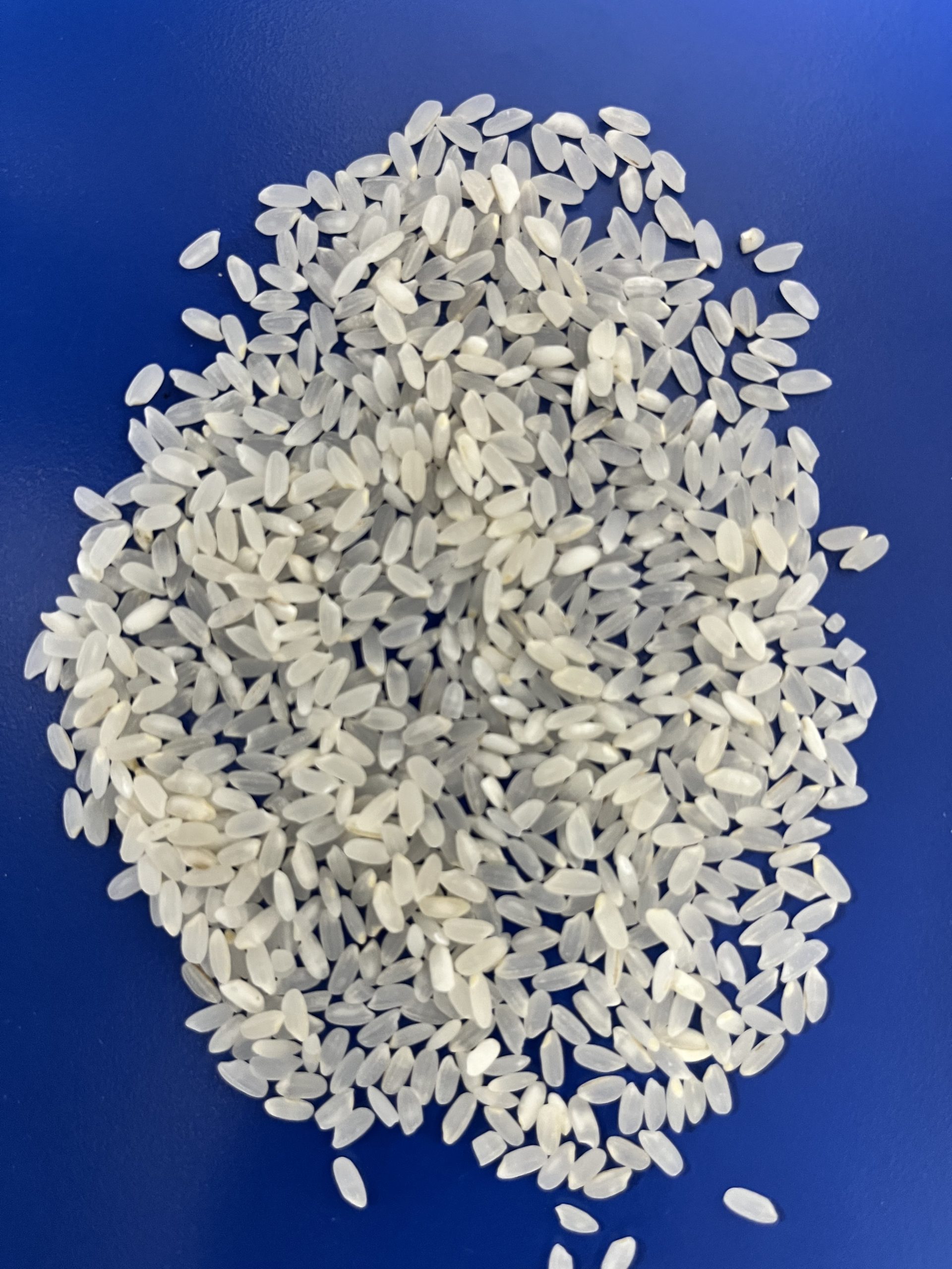 Medium Grain Milled Rice